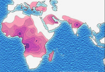 Map showing high levels of Sickle Cell Anaemia 